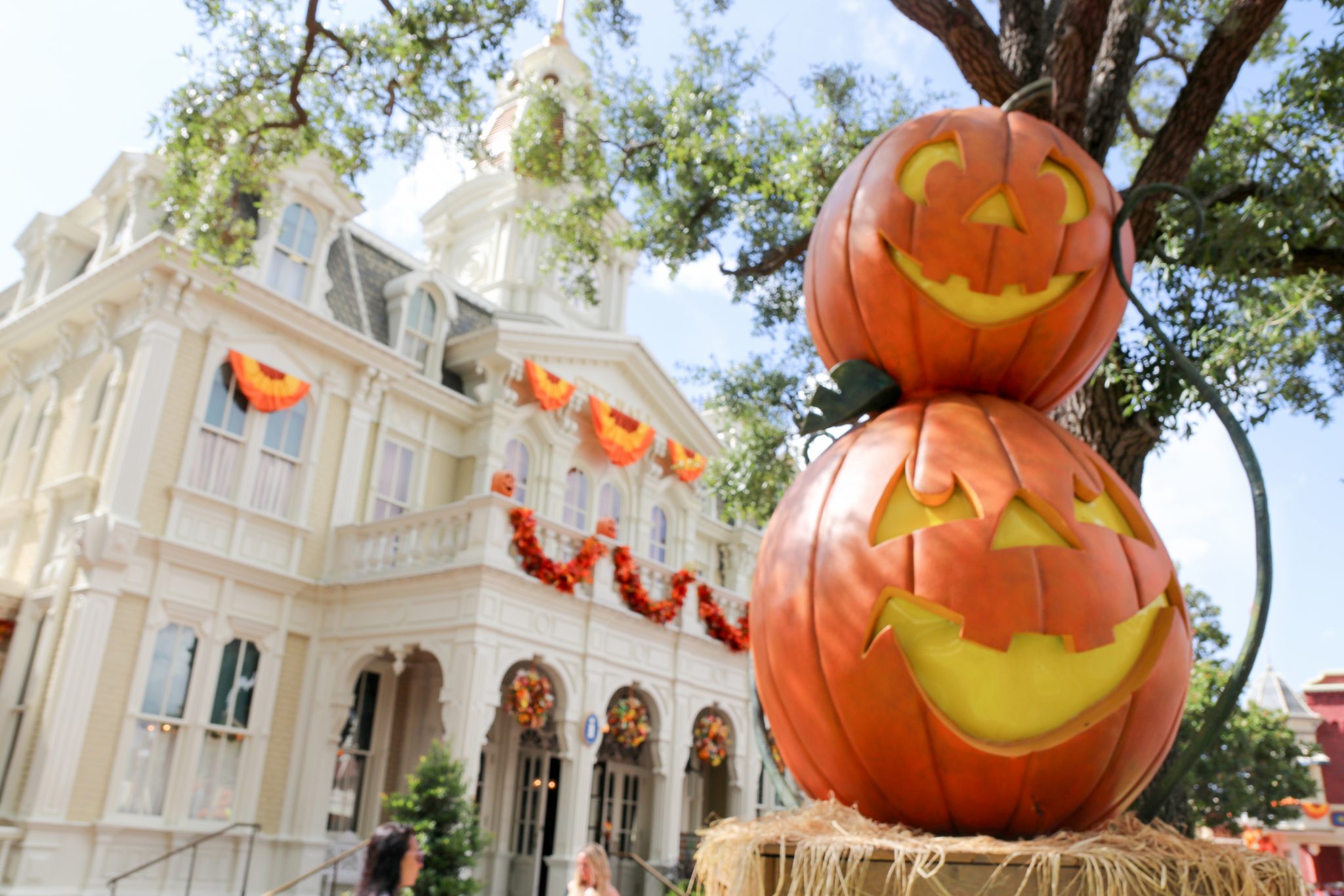 Disney College Program Fall 2025 Applications Are Open Apply Today