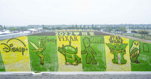 Rice fields in Taiwan in the shape of the Disney+ Logo, Tinkerbell, Toy Story Alien, Baby Groot, Grogu, and an Owl