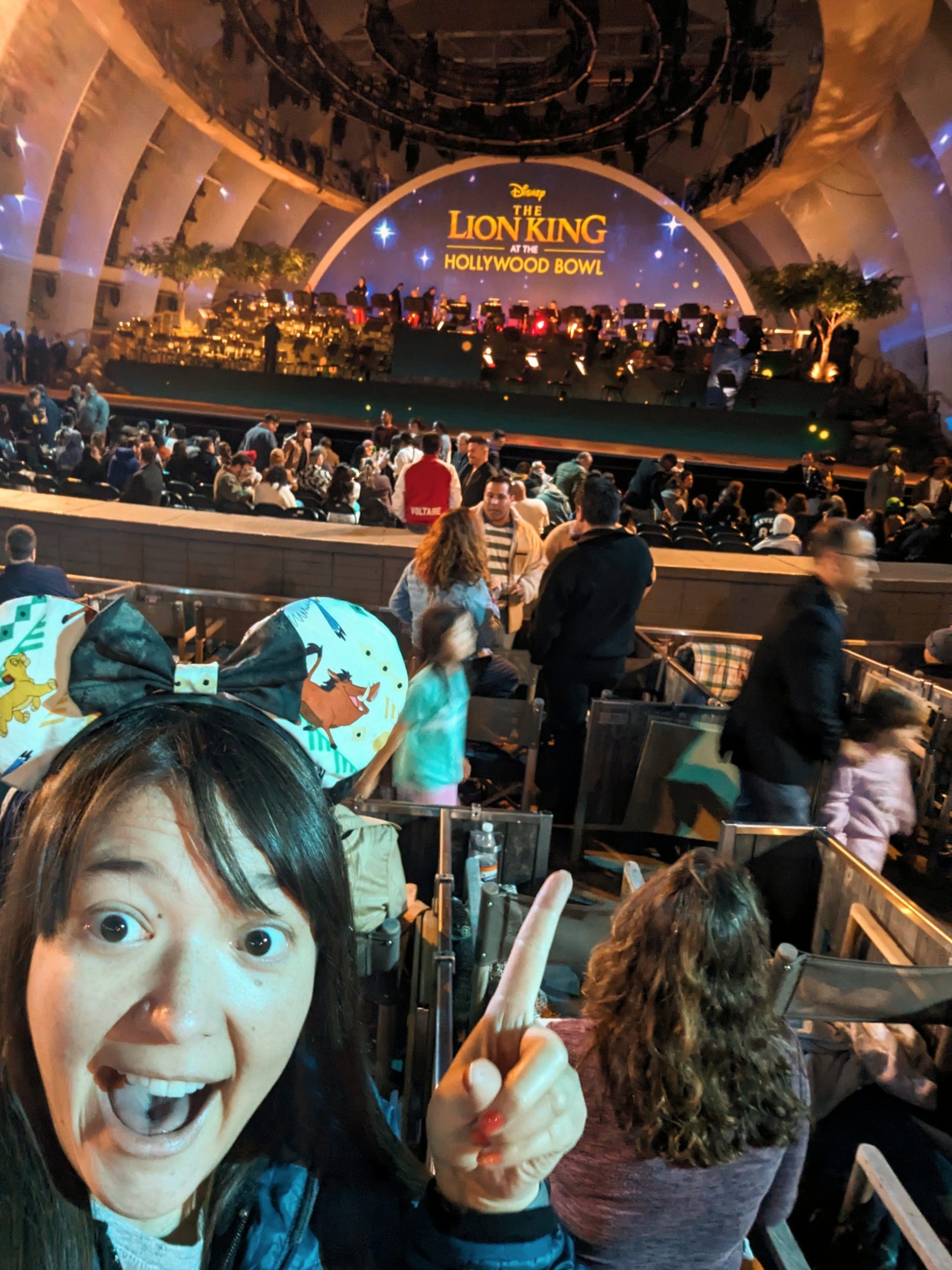 Jill Aoki - Lion King Concert at the Hollywood Bowl