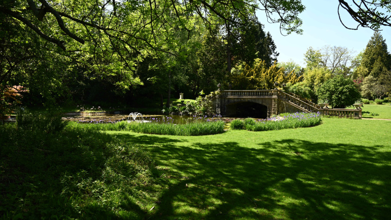 PWD_Loc_Garden_Summer_05.2020_JM1_8725-768x432 PWD_Loc_Garden_Summer_05.2020_JM1_8725-768x432