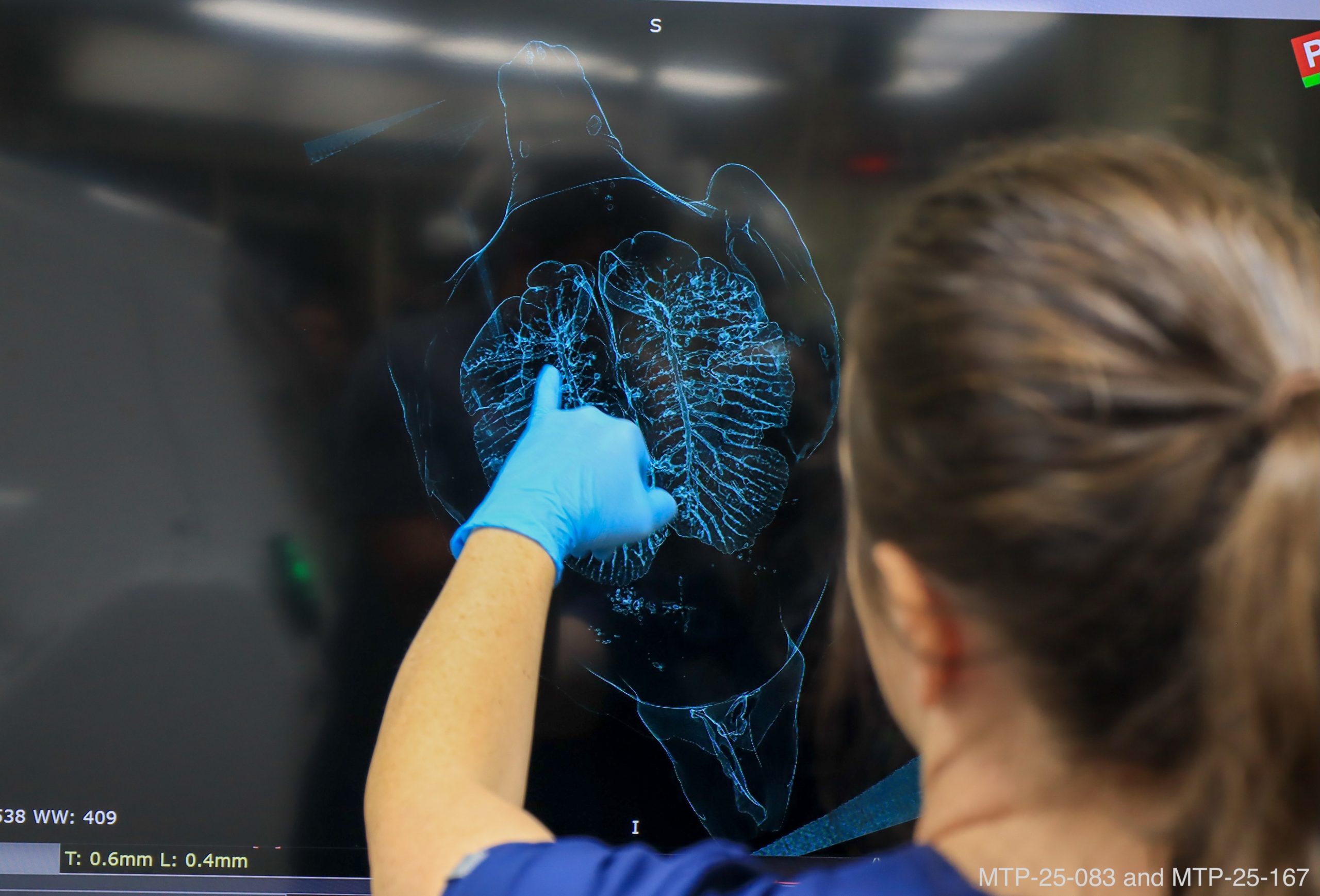 Bond_Sea_Turtle_Hospital-5 (1)