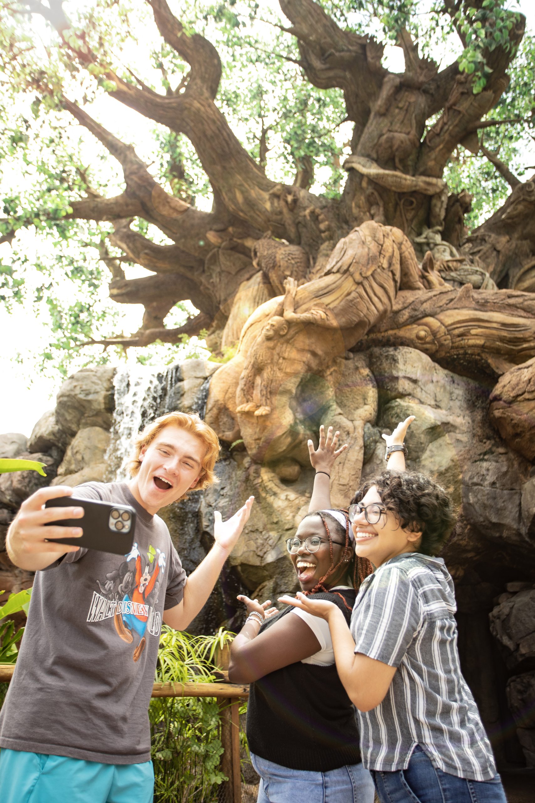 DCP_AnimalKingdom_Trio DCP_AnimalKingdom_Trio