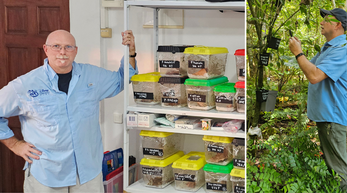 PartulaSnails_Jamie_In_Tahiti