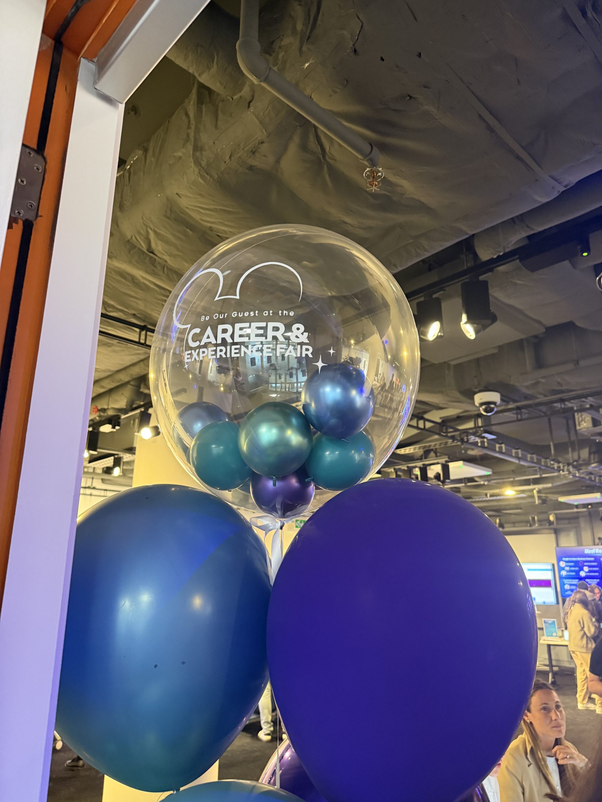 UK and Ireland Career and Experience Fair