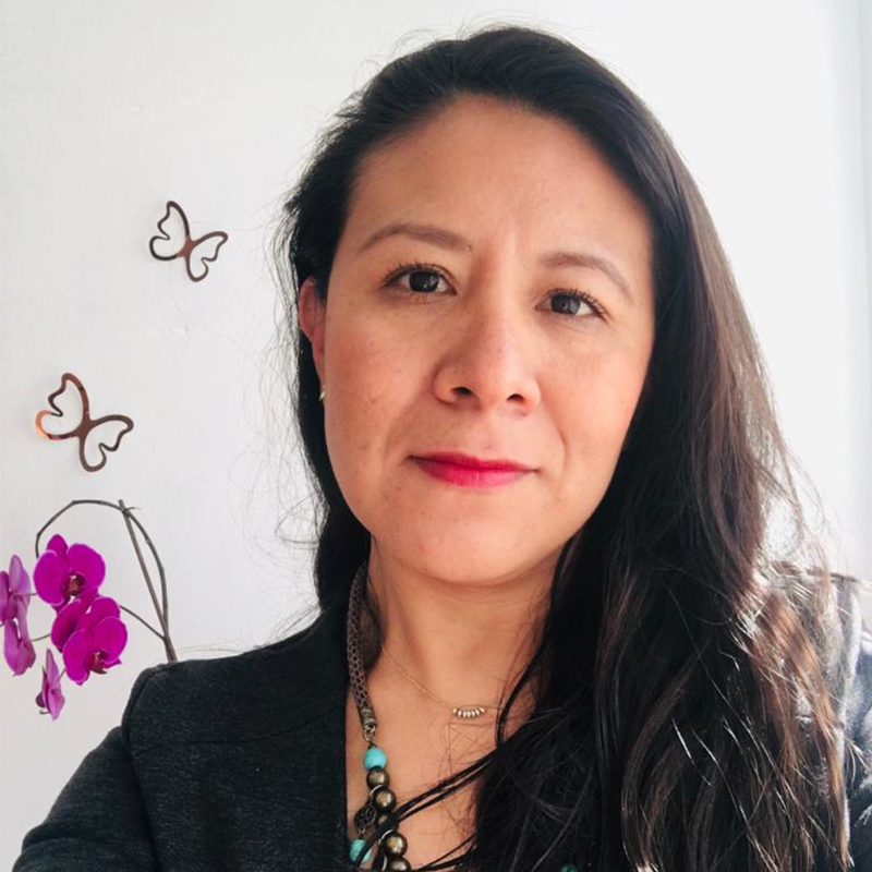 Female Disney Internships Latin America recruiter with long, dark hair, black blazer and blue and brown beaded necklace against a white background with butterflies.