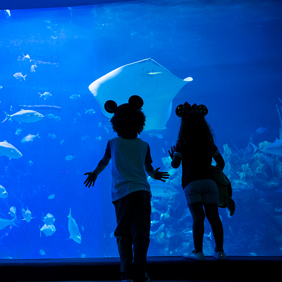 planet-possible-aquarium planet-possible-aquarium