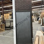 ALK869