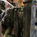 VAMP1011 (7)